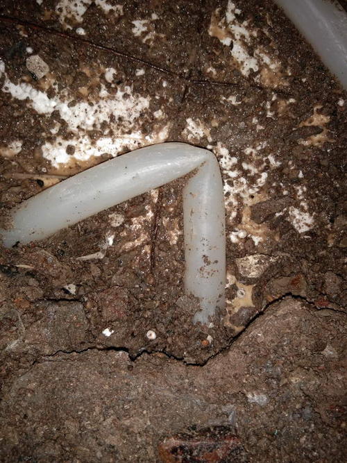 苍南堵点精准查找